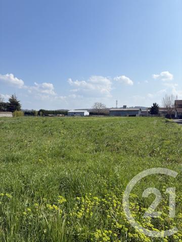 Terrain à vendre  3567 m2 ST MARTORY - 31