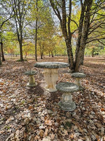 Un véritable havre de paix au cœur de la nature.

Découvrez cette agréable maison nichée dans un environnement calme et ressourçant, implantée sur un magnifique terrain entièrement clos de 17 918 m². Un cadre rare, idéal pour les amoureux de nature, d’espace et de tranquillité.

La maison se compose d’une cuisine aménagée et équipée ouverte sur le salon, créant une pièce de vie conviviale et lumineuse avec accès sur une grande terrasse d'environ 50m². Côté nuit, vous trouverez une chambre, ainsi que deux grands bureaux pouvant facilement être transformés en chambres supplémentaires selon vos besoins. Une salle d’eau avec WC, un espace de rangement et un débarras pouvant être aménagé en dressing complètent l’habitation.

Un autre atout se trouve sous la maison avec un vide sanitaire d’environ 1,50 m de hauteur, offrant un espace supplémentaire et de belles possibilités d’aménagement ou de stockage selon vos projets.

À l’extérieur, la propriété révèle tout son potentiel. Plusieurs abris représentant environ plus de 100m², équipés en électricité et disposant de WC, offrent de nombreuses possibilités : atelier, espace de stockage, activité professionnelle ou loisirs. Vous bénéficierez également d’un garage permettant d’accueillir plusieurs véhicules, ainsi que d’un mobil-home.

Le terrain, entièrement clos, est particulièrement riche et agréable à vivre. Il accueille une jolie mare, trois puits, un potager ainsi que plusieurs arbres fruitiers. Un dispositif de récupération des eaux de pluie vient compléter cet ensemble pensé autour de la nature et de l’autonomie.

Côté confort, la maison dispose de menuiseries PVC en double vitrage, est raccordée à la fibre et bénéficie d’un insert à bois. Elle est également raccordée au tout-à-l’égout, avec un assainissement conforme.

Un bien rare par son environnement et la superficie de son terrain, offrant de multiples possibilités d'aménagement et de projets. Ici, chaque espace invite à profiter pleinement de la nature, dans un cadre paisible où règnent calme et sérénité.