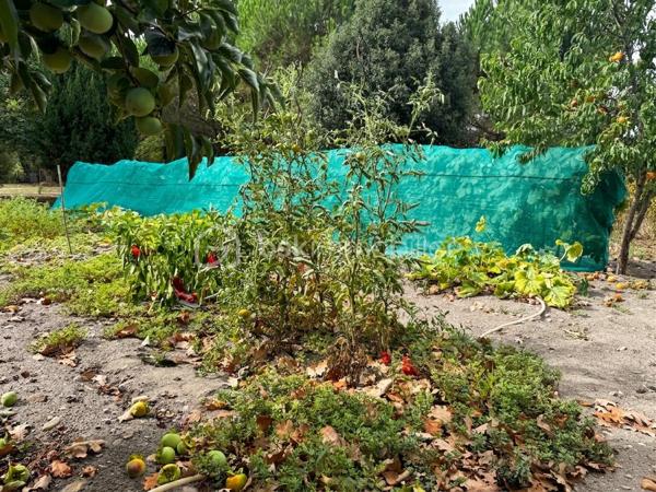 Un véritable havre de paix au cœur de la nature.

Découvrez cette agréable maison nichée dans un environnement calme et ressourçant, implantée sur un magnifique terrain entièrement clos de 17 918 m². Un cadre rare, idéal pour les amoureux de nature, d’espace et de tranquillité.

La maison se compose d’une cuisine aménagée et équipée ouverte sur le salon, créant une pièce de vie conviviale et lumineuse avec accès sur une grande terrasse d'environ 50m². Côté nuit, vous trouverez une chambre, ainsi que deux grands bureaux pouvant facilement être transformés en chambres supplémentaires selon vos besoins. Une salle d’eau avec WC, un espace de rangement et un débarras pouvant être aménagé en dressing complètent l’habitation.

Un autre atout se trouve sous la maison avec un vide sanitaire d’environ 1,50 m de hauteur, offrant un espace supplémentaire et de belles possibilités d’aménagement ou de stockage selon vos projets.

À l’extérieur, la propriété révèle tout son potentiel. Plusieurs abris représentant environ plus de 100m², équipés en électricité et disposant de WC, offrent de nombreuses possibilités : atelier, espace de stockage, activité professionnelle ou loisirs. Vous bénéficierez également d’un garage permettant d’accueillir plusieurs véhicules, ainsi que d’un mobil-home.

Le terrain, entièrement clos, est particulièrement riche et agréable à vivre. Il accueille une jolie mare, trois puits, un potager ainsi que plusieurs arbres fruitiers. Un dispositif de récupération des eaux de pluie vient compléter cet ensemble pensé autour de la nature et de l’autonomie.

Côté confort, la maison dispose de menuiseries PVC en double vitrage, est raccordée à la fibre et bénéficie d’un insert à bois. Elle est également raccordée au tout-à-l’égout, avec un assainissement conforme.

Un bien rare par son environnement et la superficie de son terrain, offrant de multiples possibilités d'aménagement et de projets. Ici, chaque espace invite à profiter pleinement de la nature, dans un cadre paisible où règnent calme et sérénité.