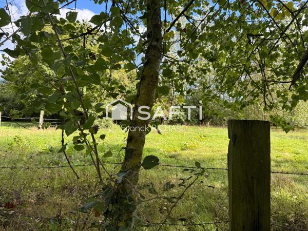 Maison de 5 pièces dans un environnement boisé à proximité de Forges-les-Eaux