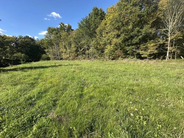 Vente Terrain 1000 m2 à Saint-Astier