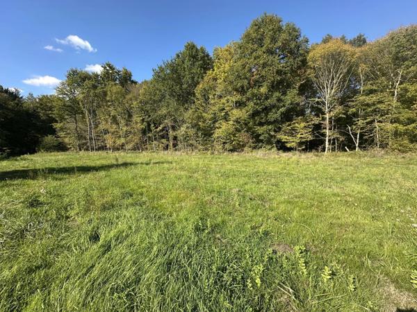 Vente Terrain 1000 m2 à Saint-Astier