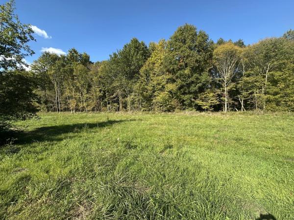 Vente Terrain 1000 m2 à Saint-Astier