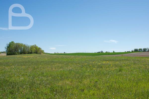Montaigu-de-Quercy (82150) Superbe domaine avec 2 maisons, dépendances et piscine