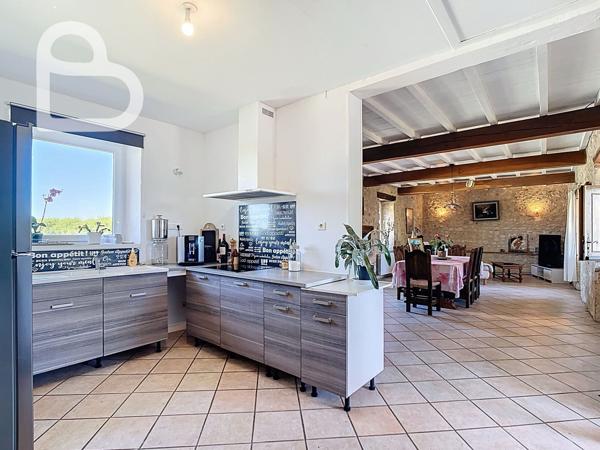 Montaigu-de-Quercy (82150) Superbe domaine avec 2 maisons, dépendances et piscine