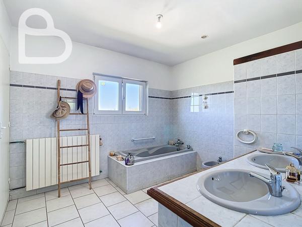 Montaigu-de-Quercy (82150) Superbe domaine avec 2 maisons, dépendances et piscine