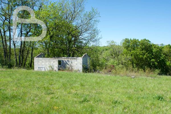 Montaigu-de-Quercy (82150) Superbe domaine avec 2 maisons, dépendances et piscine