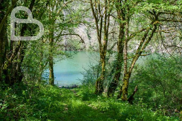 Montaigu-de-Quercy (82150) Superbe domaine avec 2 maisons, dépendances et piscine