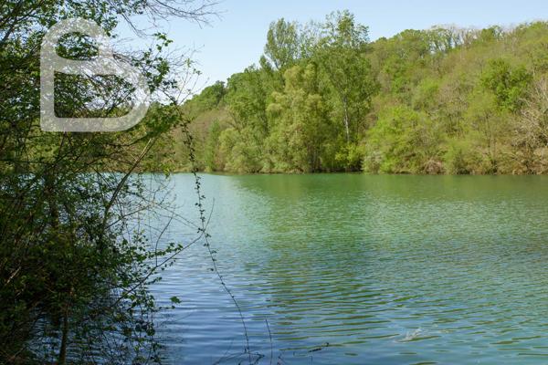 Montaigu-de-Quercy (82150) Superbe domaine avec 2 maisons, dépendances et piscine
