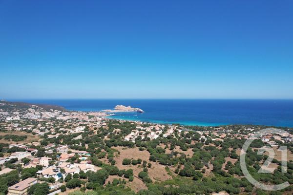 Maison à vendre  6 pièces - 267,21 m2 MONTICELLO - 202