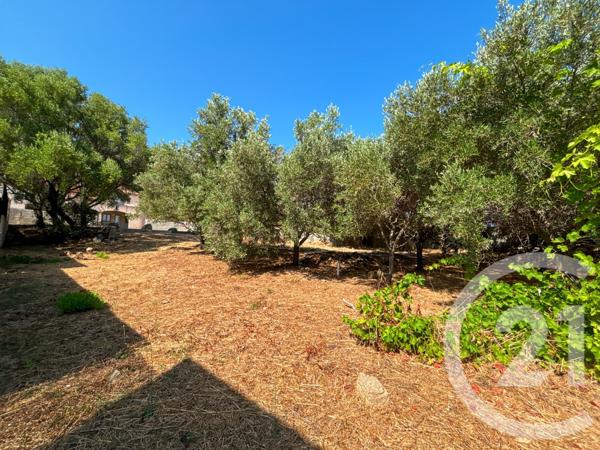 Maison à vendre  6 pièces - 267,21 m2 MONTICELLO - 202