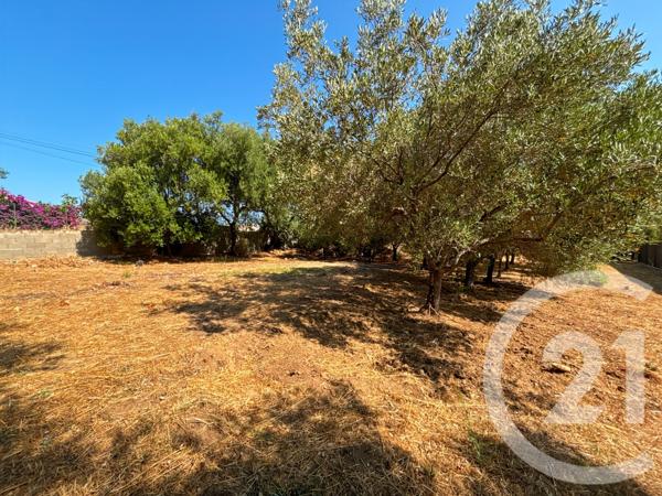 Maison à vendre  6 pièces - 267,21 m2 MONTICELLO - 202