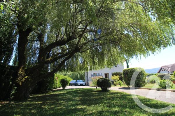 Maison à vendre  5 pièces - 156 m 2   SCIEZ  - 74