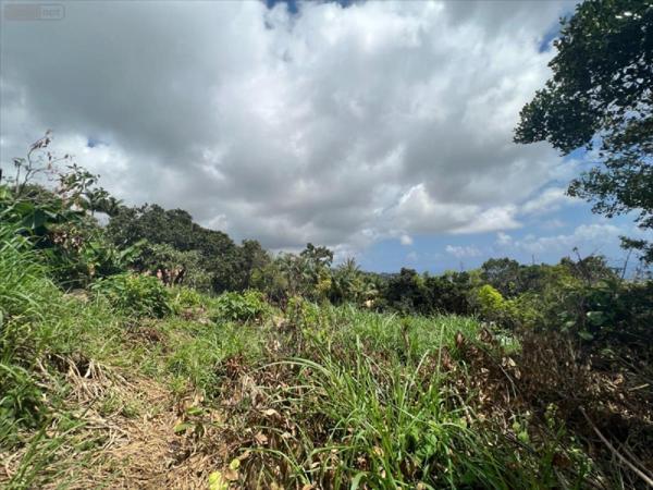 Terrain à Batir à vendre à Sainte-Clotilde à la Réunion (97490), ref : 97405-1002357