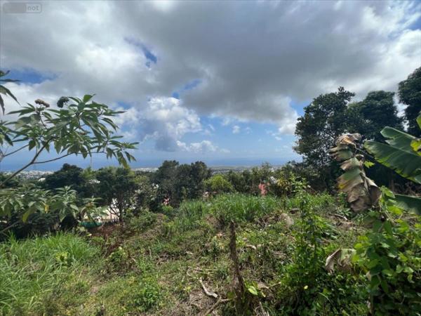 Terrain à Batir à vendre à Sainte-Clotilde à la Réunion (97490), ref : 97405-1002357