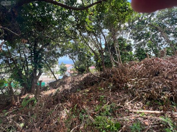 Terrain à Batir à vendre à Sainte-Clotilde à la Réunion (97490), ref : 97405-1002357