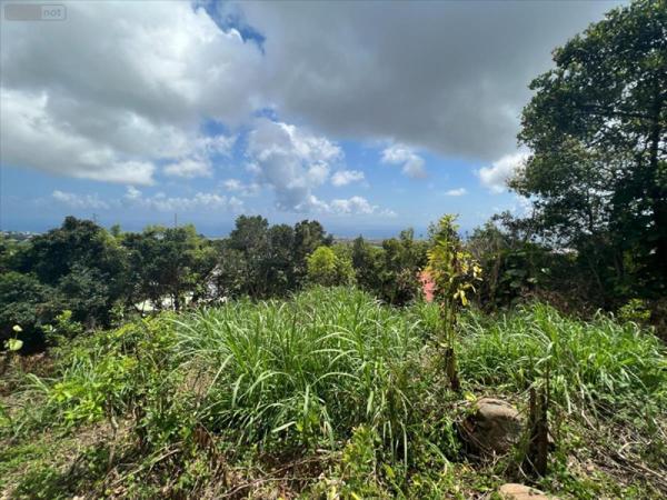 Terrain à Batir à vendre à Sainte-Clotilde à la Réunion (97490), ref : 97405-1002357