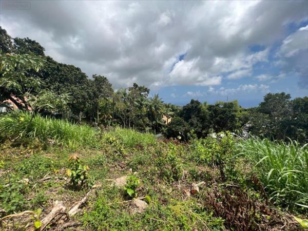 Terrain à Batir à vendre à Sainte-Clotilde à la Réunion (97490), ref : 97405-1002357