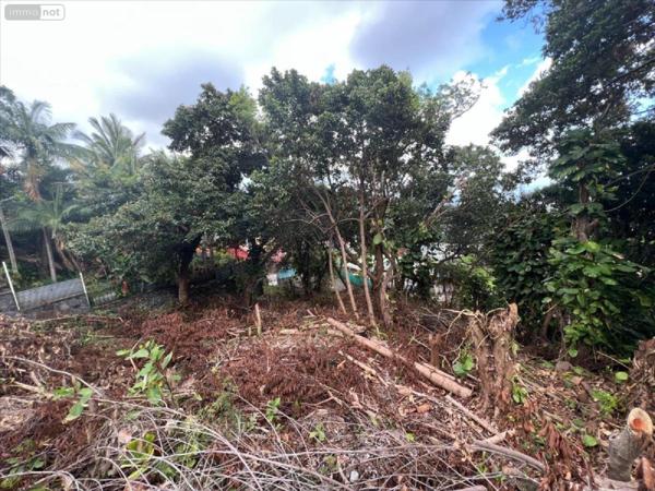 Terrain à Batir à vendre à Sainte-Clotilde à la Réunion (97490), ref : 97405-1002357