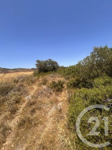 Terrain à vendre  4094 m 2   FRONTIGNAN  - 34