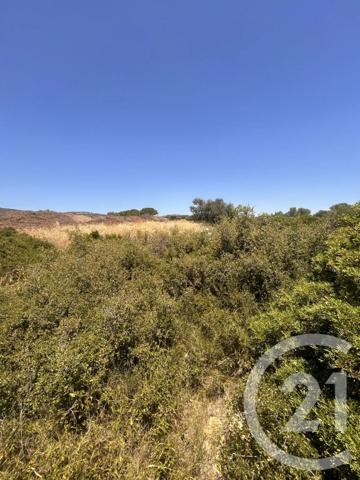 Terrain à vendre  4094 m 2   FRONTIGNAN  - 34