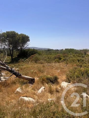 Terrain à vendre  4094 m 2   FRONTIGNAN  - 34