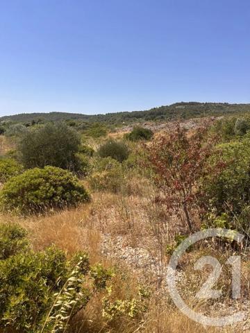 Terrain à vendre  4094 m 2   FRONTIGNAN  - 34