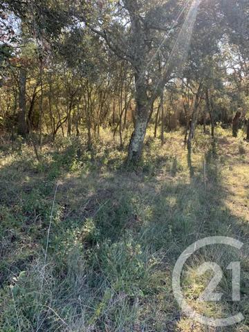 Terrain à vendre  4094 m 2   FRONTIGNAN  - 34