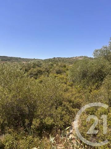 Terrain à vendre  4094 m 2   FRONTIGNAN  - 34