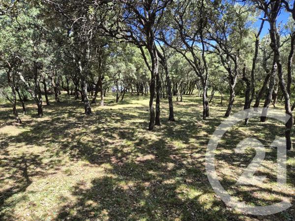 Terrain à vendre  4094 m 2   FRONTIGNAN  - 34