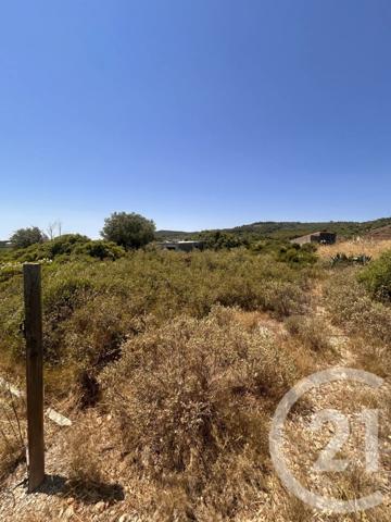 Terrain à vendre  4094 m 2   FRONTIGNAN  - 34