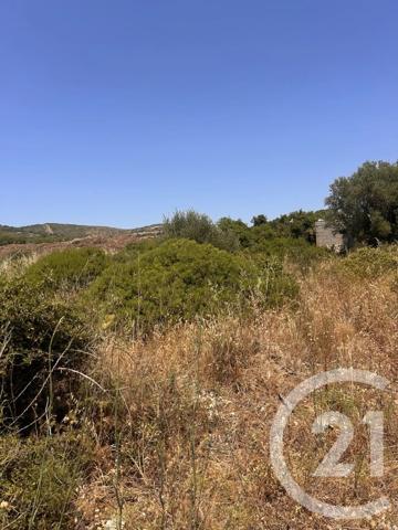 Terrain à vendre  4094 m 2   FRONTIGNAN  - 34