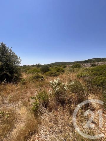 Terrain à vendre  4094 m 2   FRONTIGNAN  - 34