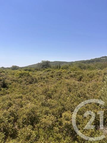 Terrain à vendre  4094 m 2   FRONTIGNAN  - 34
