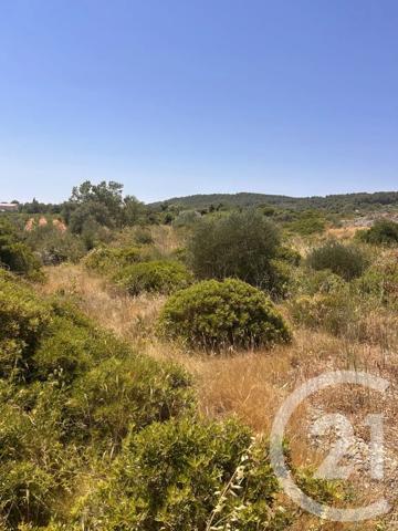 Terrain à vendre  4094 m 2   FRONTIGNAN  - 34