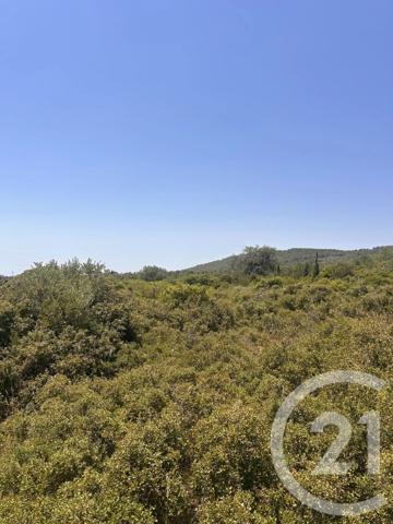 Terrain à vendre  4094 m 2   FRONTIGNAN  - 34