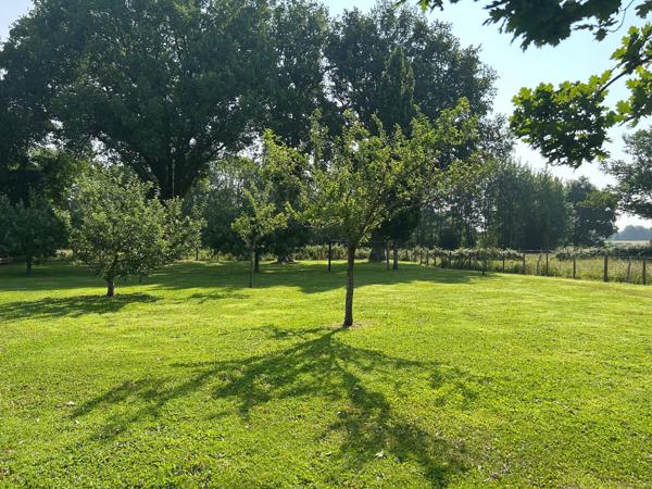 Superbe propriété sur Changé