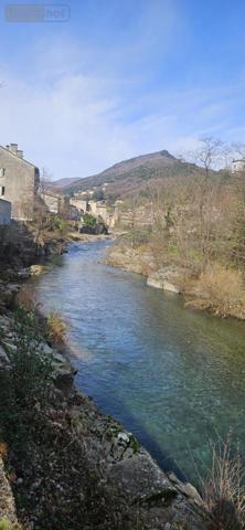 Maison à vendre à Val d'Aigoual dans le Gard (30570), ref : 34019-475