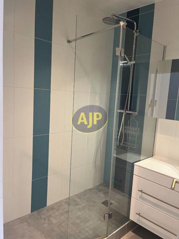 Vente appartement Paris 15eme : 1 250 000 € - AJP Delon Immobilier Grenelle