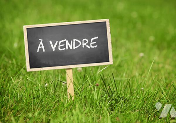 RILLY-LA-MONTAGNE – TERRAIN AGRICOLE / VITICOLE DE 660 m²