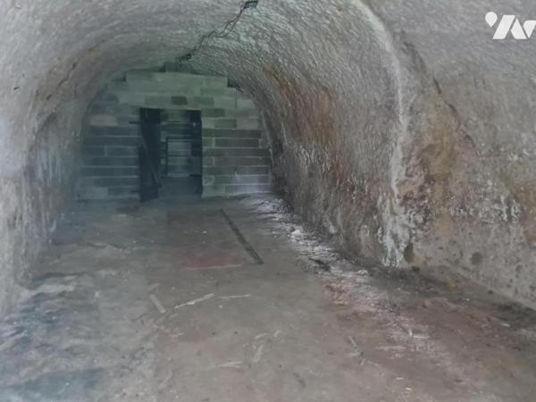 MAISON + CAVE - A VENDRE - FONTAINE LES COTEAUX ( 41800)