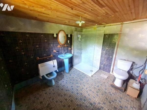 MAISON + CAVE - A VENDRE - FONTAINE LES COTEAUX ( 41800)