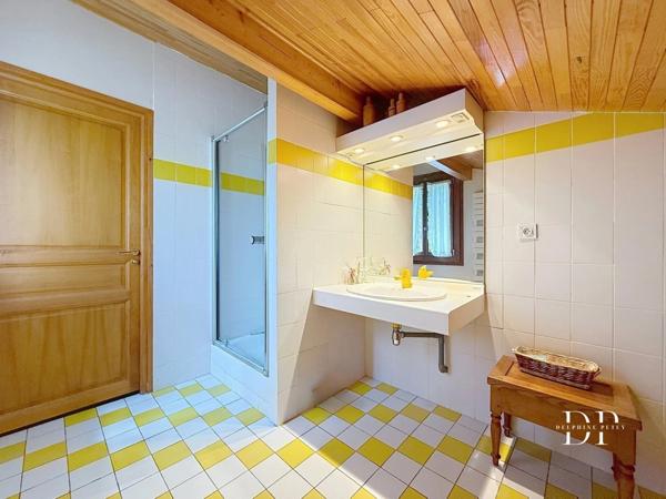 Maison à vendre 5 pièces de 259 m2 CRANVES SALES (74)