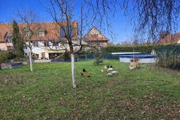 Vente Maison 6 pièces 182 m2 à Ungersheim