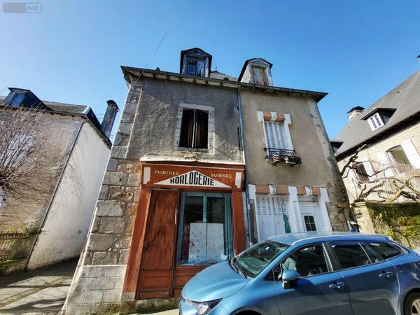 Achat - Immeuble | Immeuble de rapport Neuvic 19160 6 pièces 115 m 2