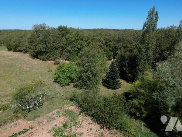 A VENDRE : Dans un endroit paisible, en situation isolée entre SOUILLAC (Lot - 46) et BRIVE, ma...