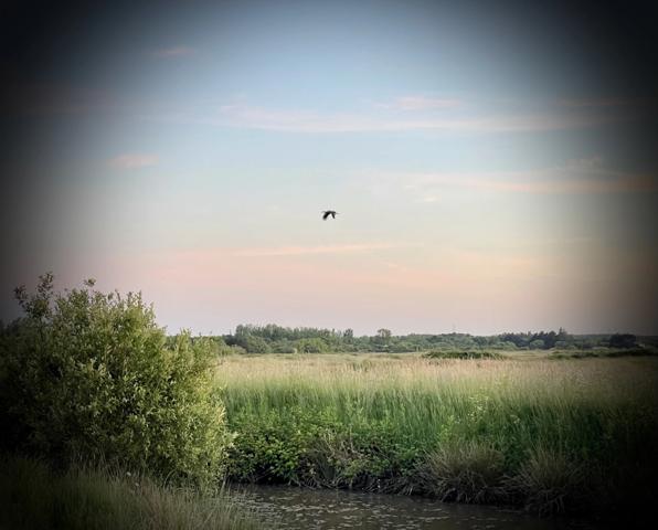 Dans un cadre naturel exceptionnel et intime, au coeur du Marais Breton Vendéen, une longère de 5 pièces située à 20 minutes des plages et des portes de Noirmoutier, à SAINT GERVAIS (85)