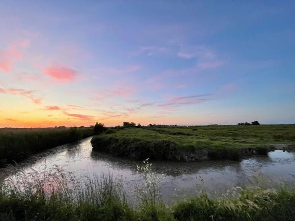 Dans un cadre naturel exceptionnel et intime, au coeur du Marais Breton Vendéen, une longère de 5 pièces située à 20 minutes des plages et des portes de Noirmoutier, à SAINT GERVAIS (85)