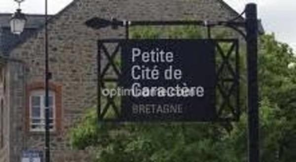 INVESTISSEURS A vendre ensemble d'Immeubles et maisons en pierre  à vendre  (35)