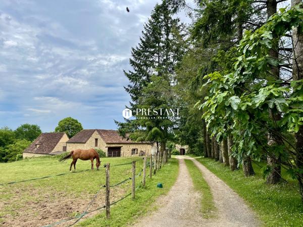 Périgourdine du 18e – 17 hectares – Vue dominante – Secteur les Eyzies de Tayac, LES EYZIES DE TAYAC SIREUIL